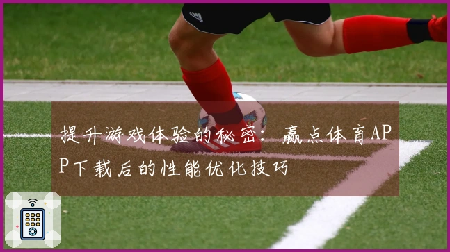 提升游戏体验的秘密：赢点体育APP下载后的性能优化技巧