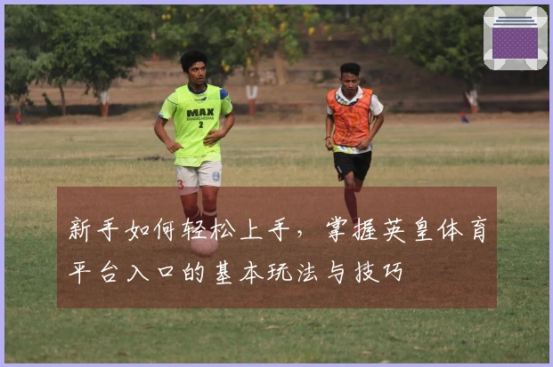 新手如何轻松上手，掌握英皇体育平台入口的基本玩法与技巧
