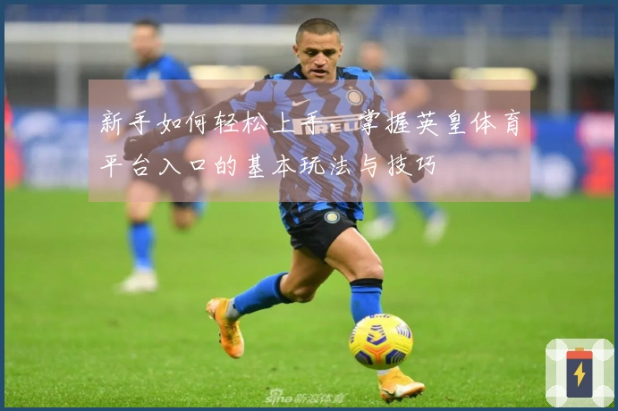 新手如何轻松上手，掌握英皇体育平台入口的基本玩法与技巧